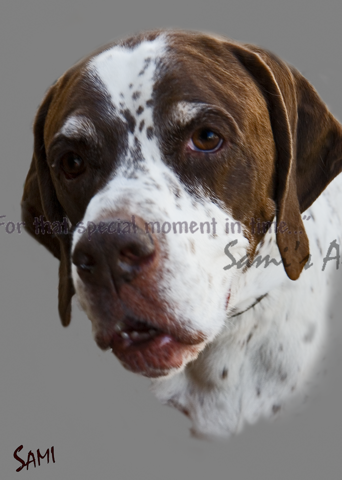 George The Pointer art painting for sale