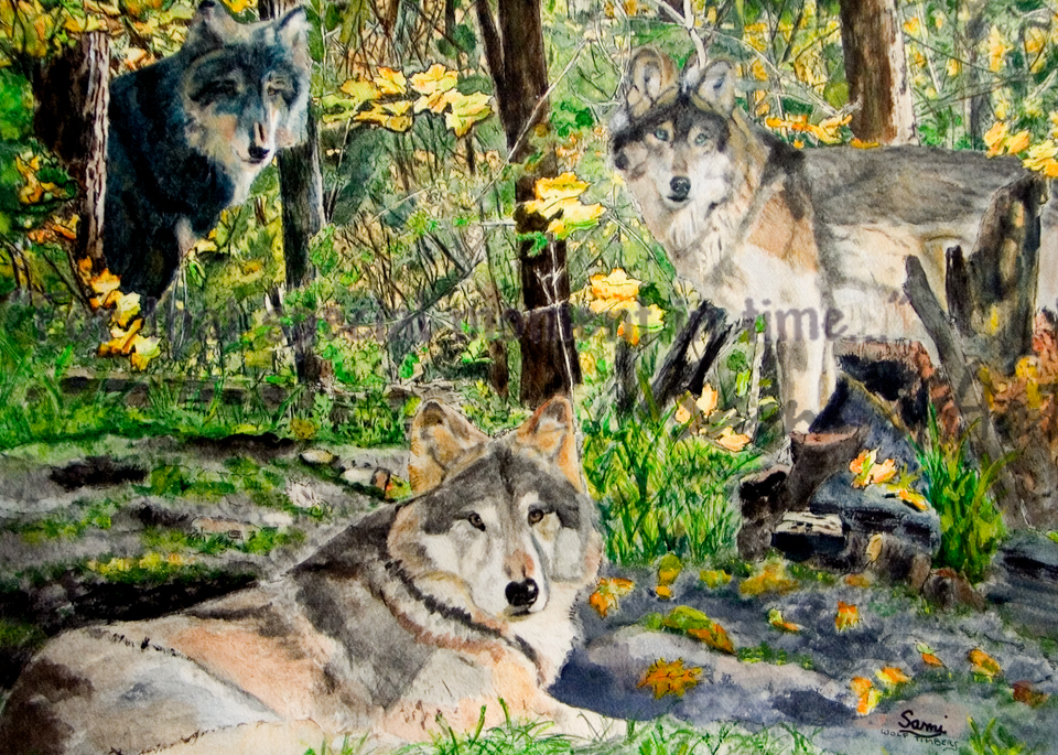 “Wolf Timbers Wolves Art for Sale”