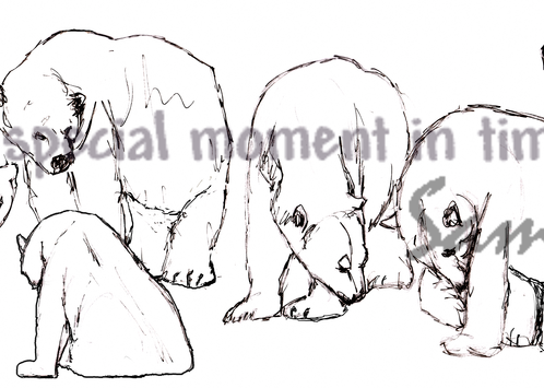 Sketchy Polar Bears Art Painting