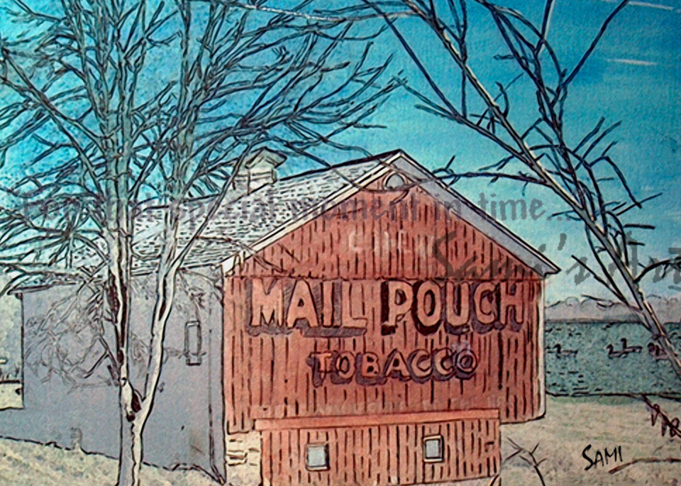 Mail Pouch Barn - Ohio Watercolor Print art for sale