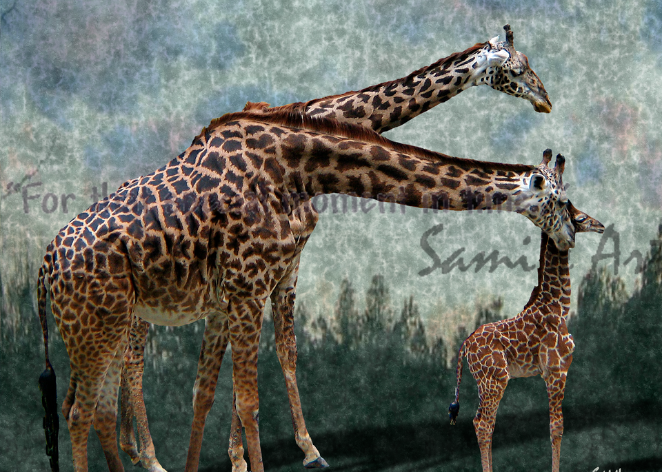 Giraffe Family Art for Sale