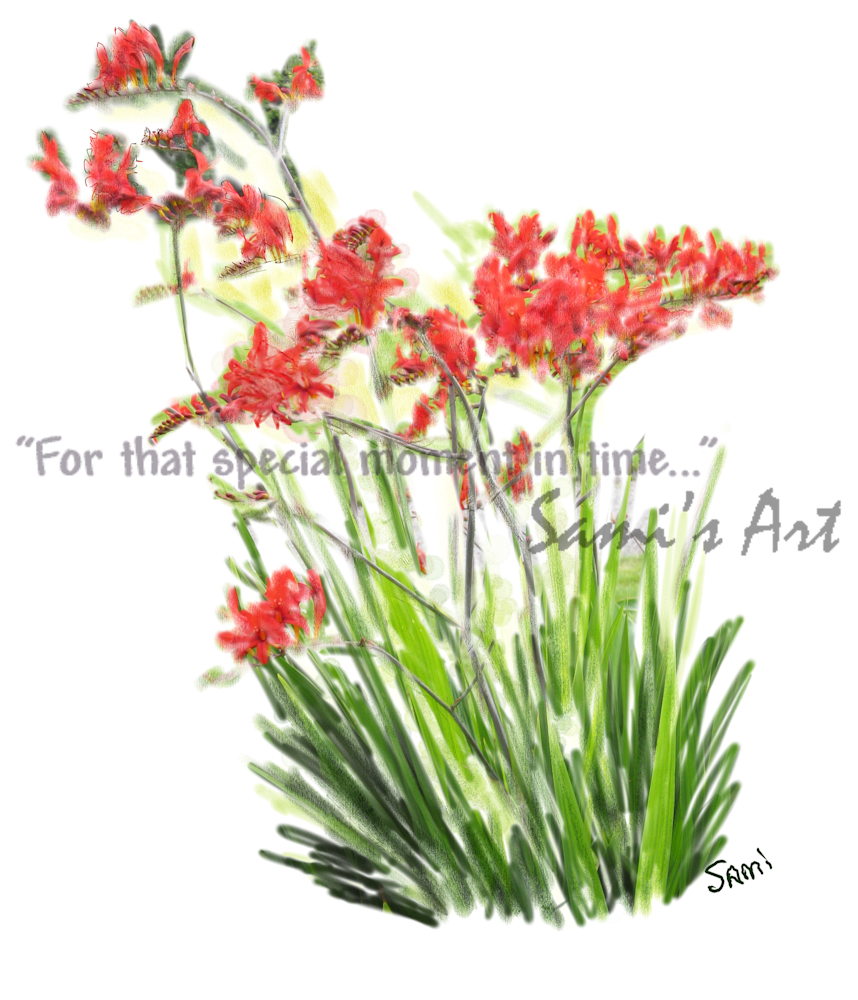 “Red Irish Flowers Art for Sale”
