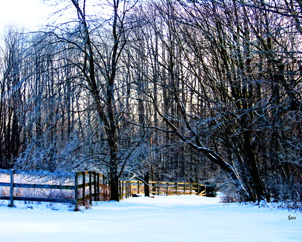 Winter Ice Art for Sale