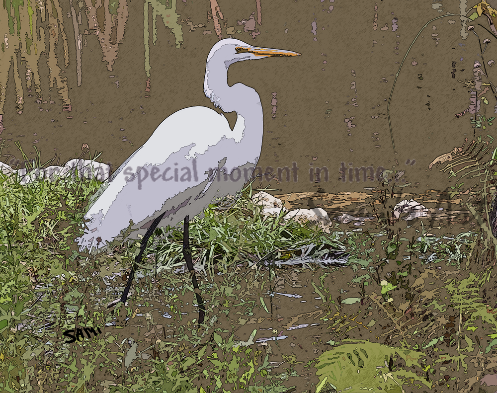 Everglades Stork photographic art painting for sale