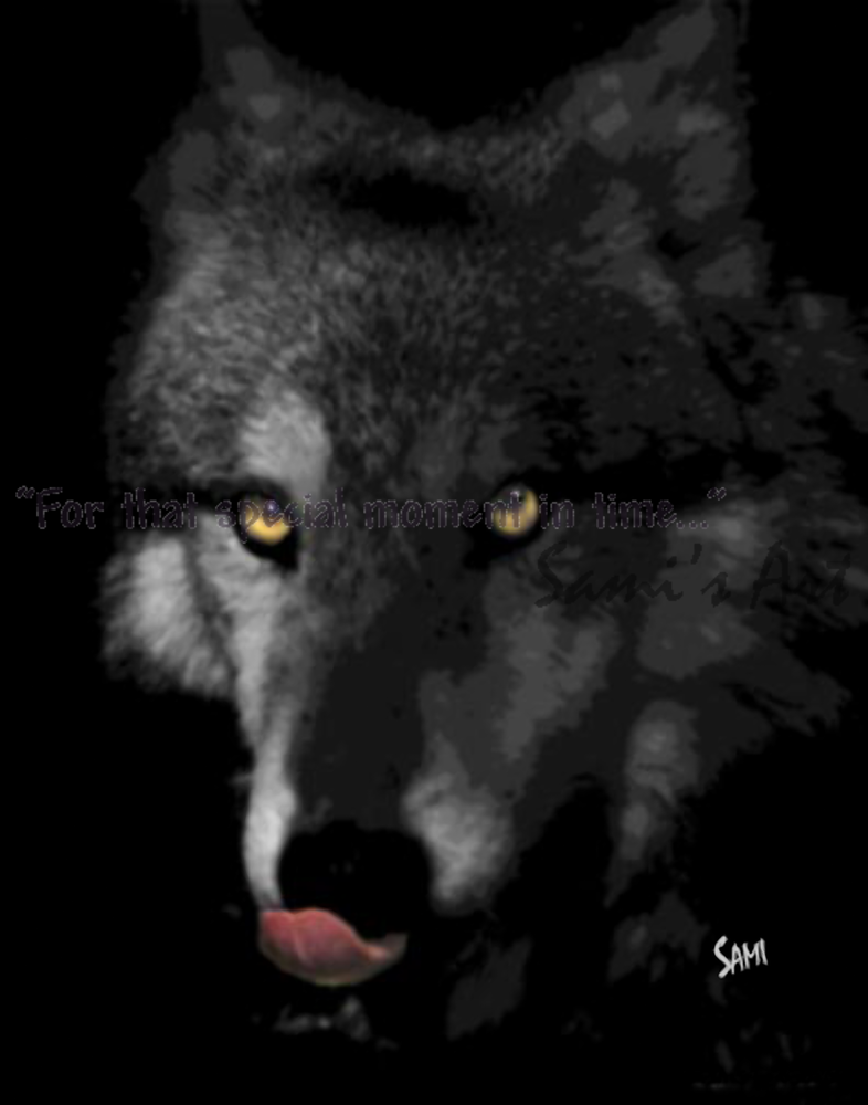 Bright Eyes Wolf Photographic Art for Sale