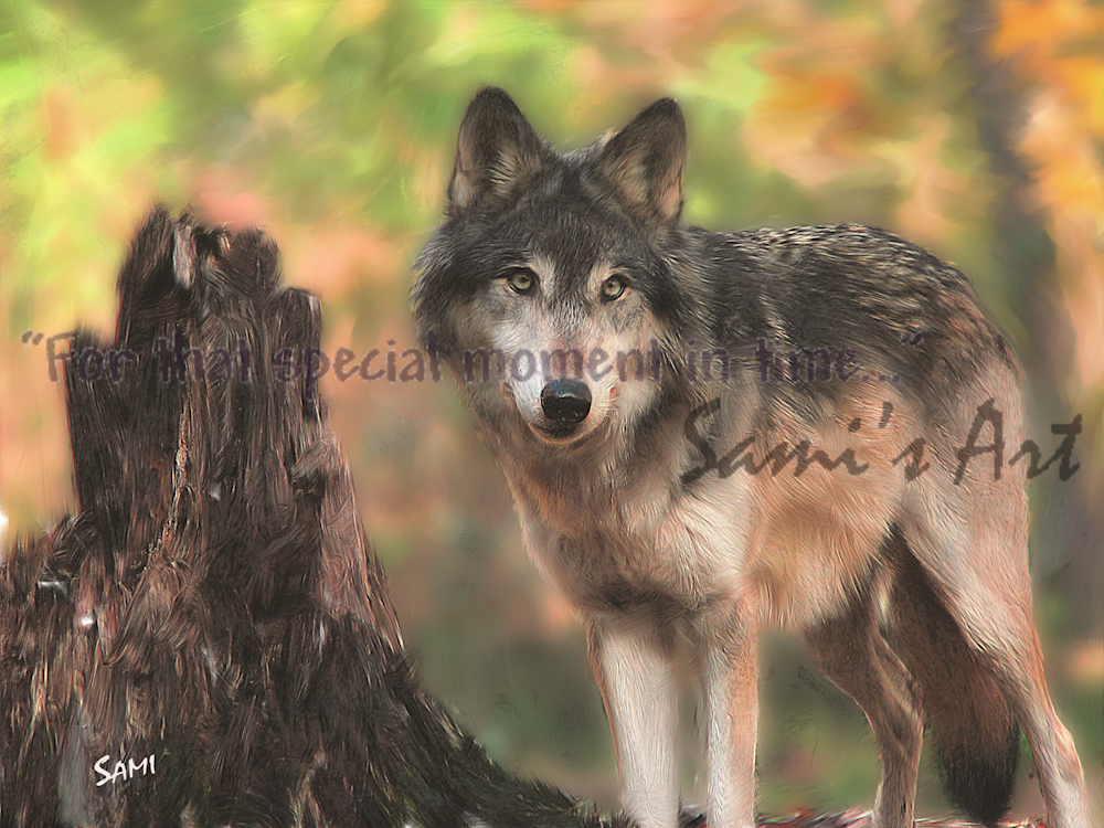 Keeley Up Close Wolf art painting for sale