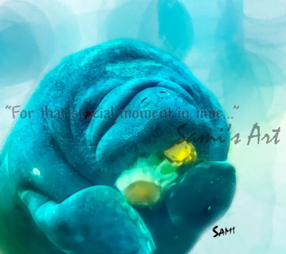 Baby Manatee Wildlife Painting for Sale | Sami's Art Shop
