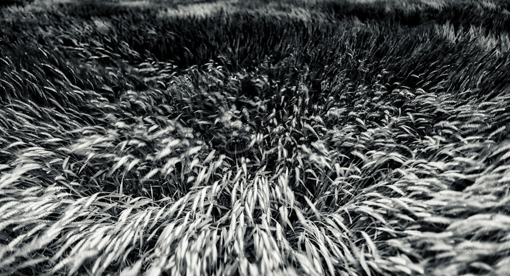 Landscapes, Abstract landscape Landscapes, Abstract landscape