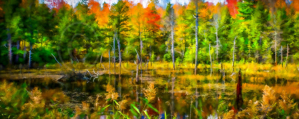 Vt Pond Reflections Art | Gary Tobler Fine Art