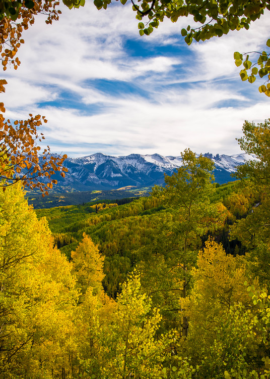 The West Elk Wilderness & Fall Colors of Colorado Aspen Trees