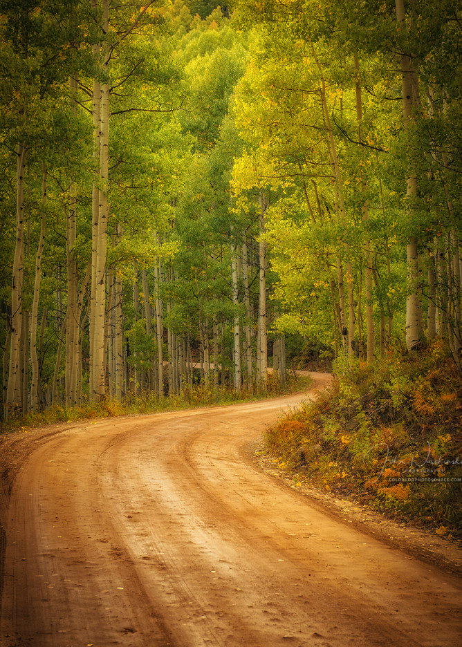 Colorado Photography Prints of Aspen Tree Lined Country Road in Fall