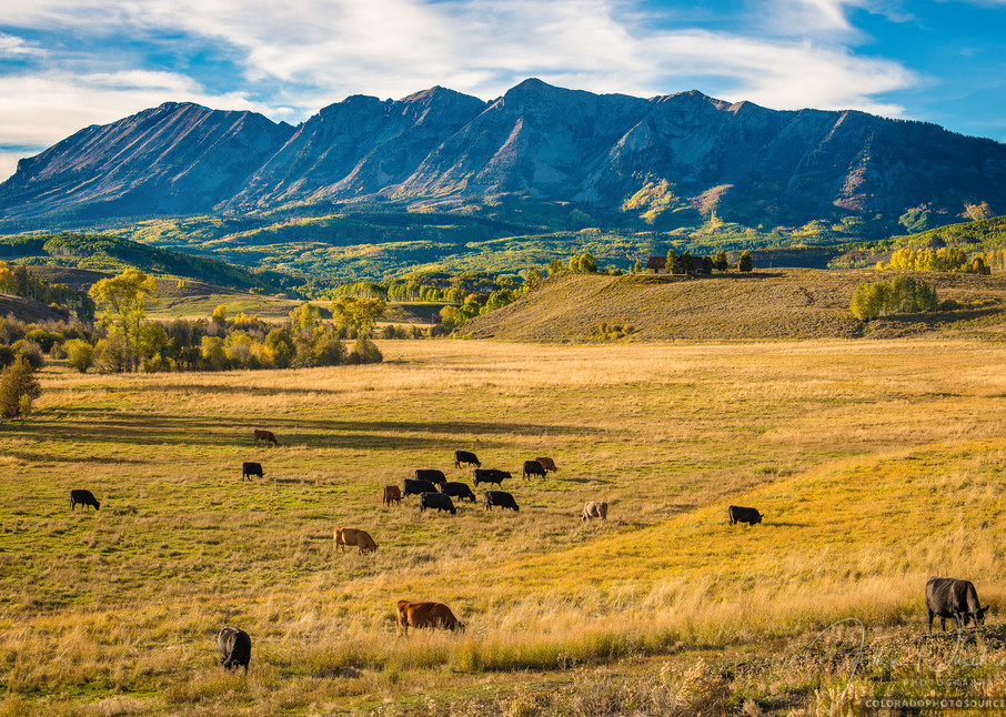 Late Afternoon Photo of Colorado Cattle Ranch Near Crested Butte
