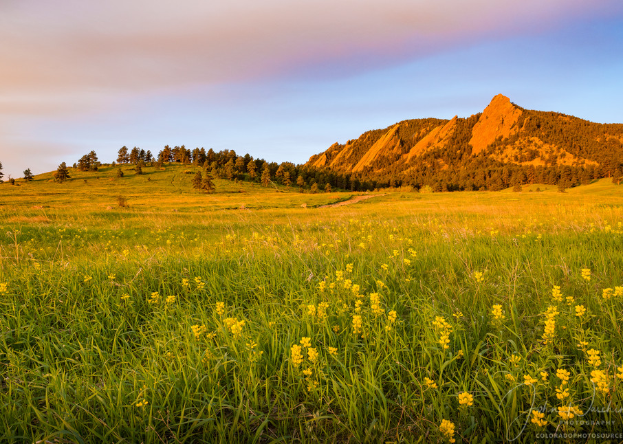 Photograph of Boulder Colorado Flatirons & Golden Banner Wildflowers