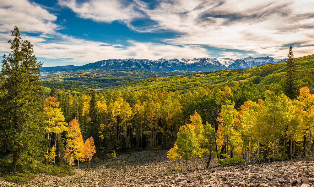 Photograph of The West Elk Mountains & Gold Aspen Trees Crested Butte Colorado