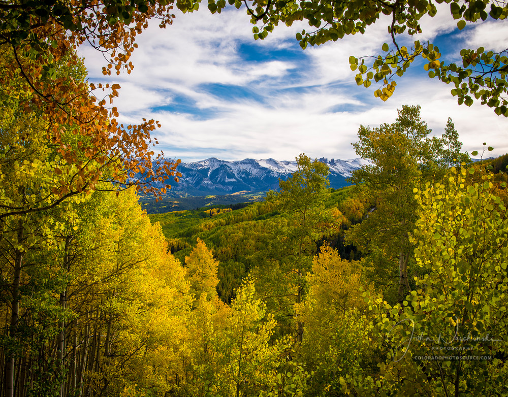 The West Elk Wilderness & Fall Colors of Colorado Aspen Trees