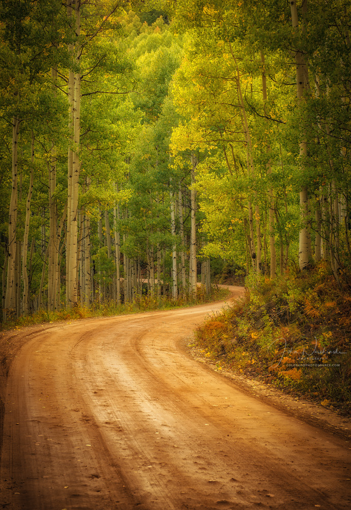 Colorado Photography Prints of Aspen Tree Lined Country Road in Fall