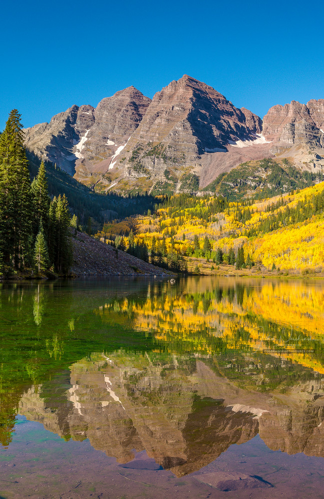 Aspen Maroon Bells Bright Fall Colors Vertical Photo