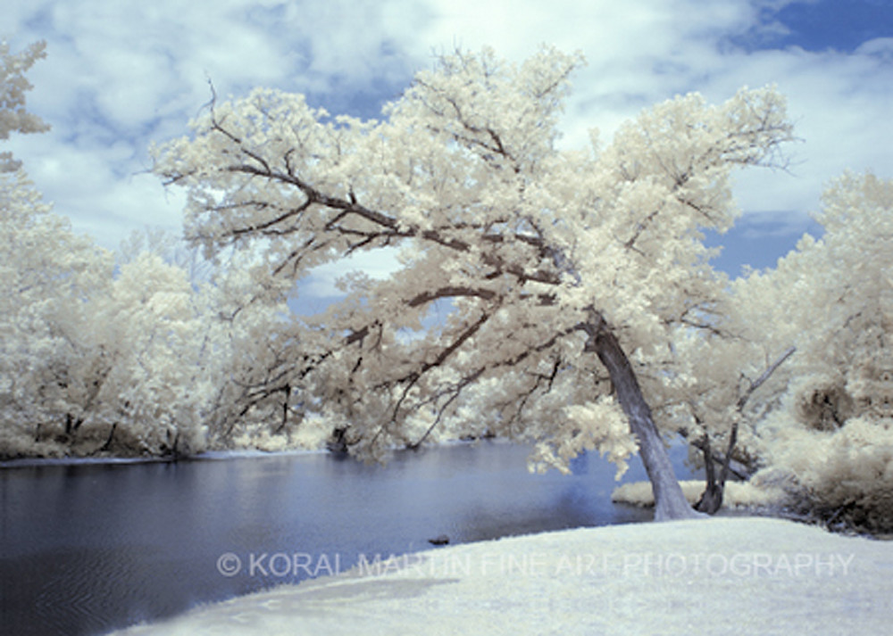 Infrared Shoal creek  | Infrared Photography | Koral Martin Fine Art Photography