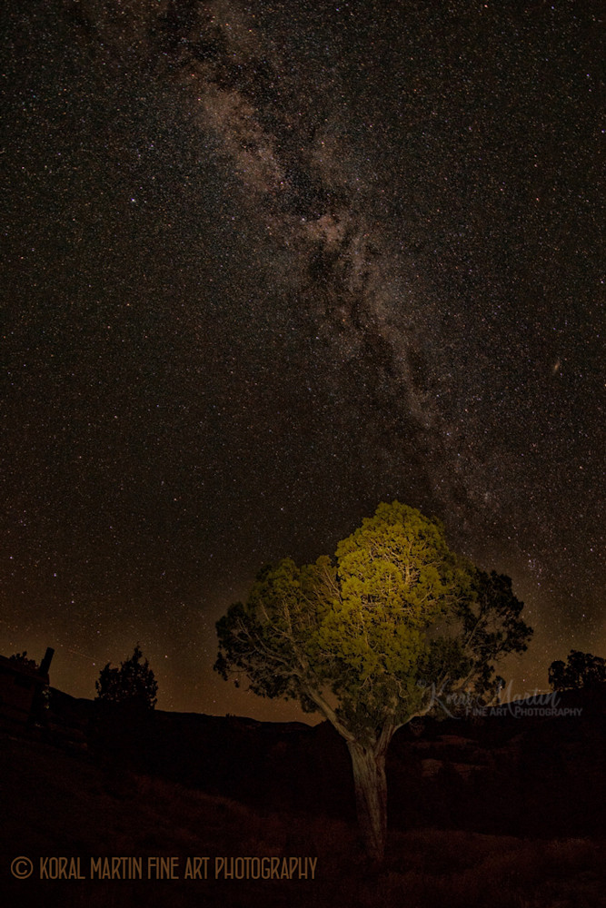 Milky way Photograph 8966 Kebler Pass  | Night Photography | Koral Martin Fine Art Photography