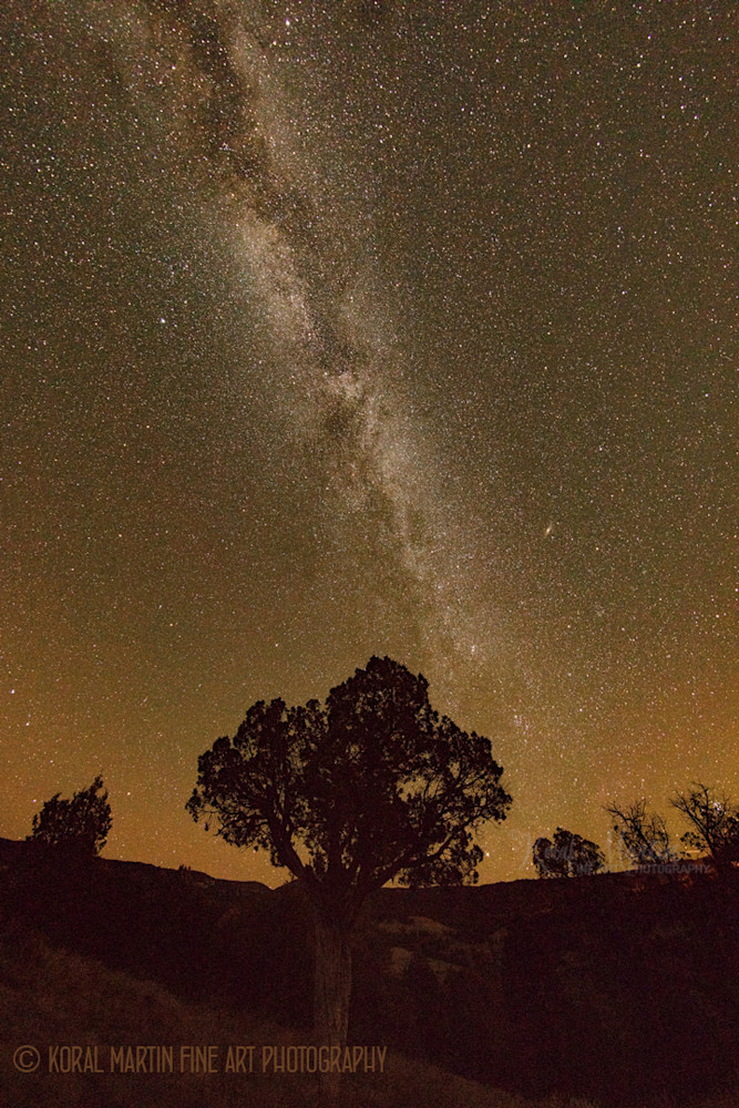 Milky Way Photograph 8972  | Night Photography | Koral Martin Fine Art Photography