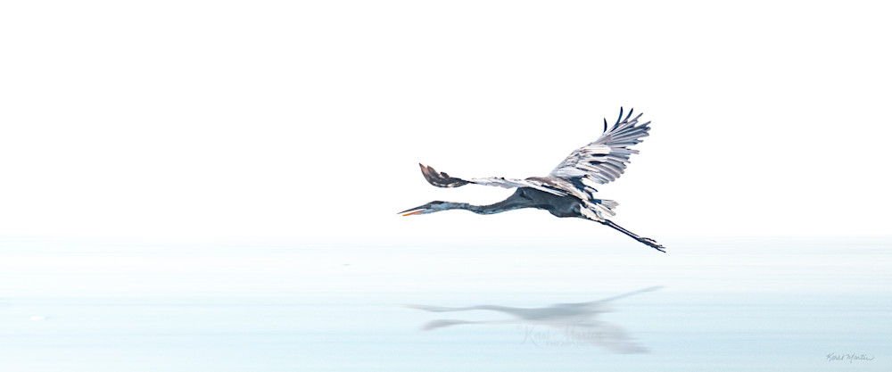 Escaping   Blue Heron 8621 Photography Art | Koral Martin Fine Art Photography