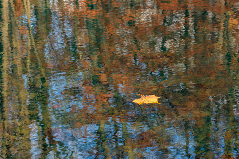 Reflecting On Fall    Photography Art | Koral Martin Fine Art Photography