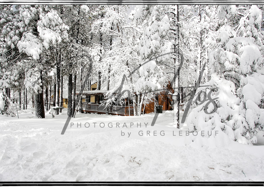 Winter Wonderland Photography Art | Fab Fotos by Greg LeBoeuf