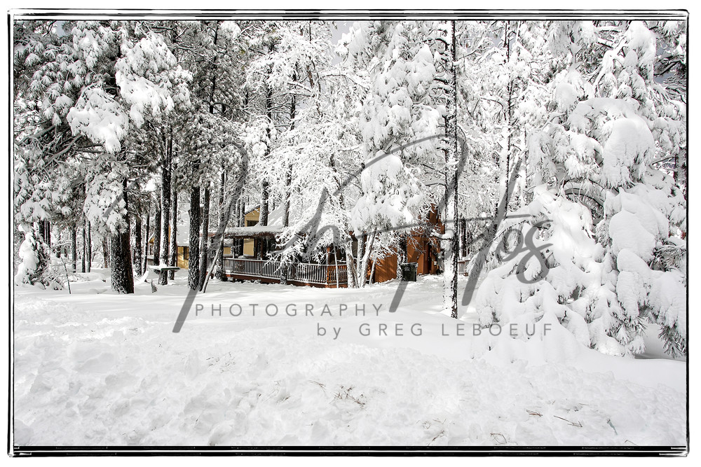 Winter Wonderland Photography Art | Fab Fotos by Greg LeBoeuf