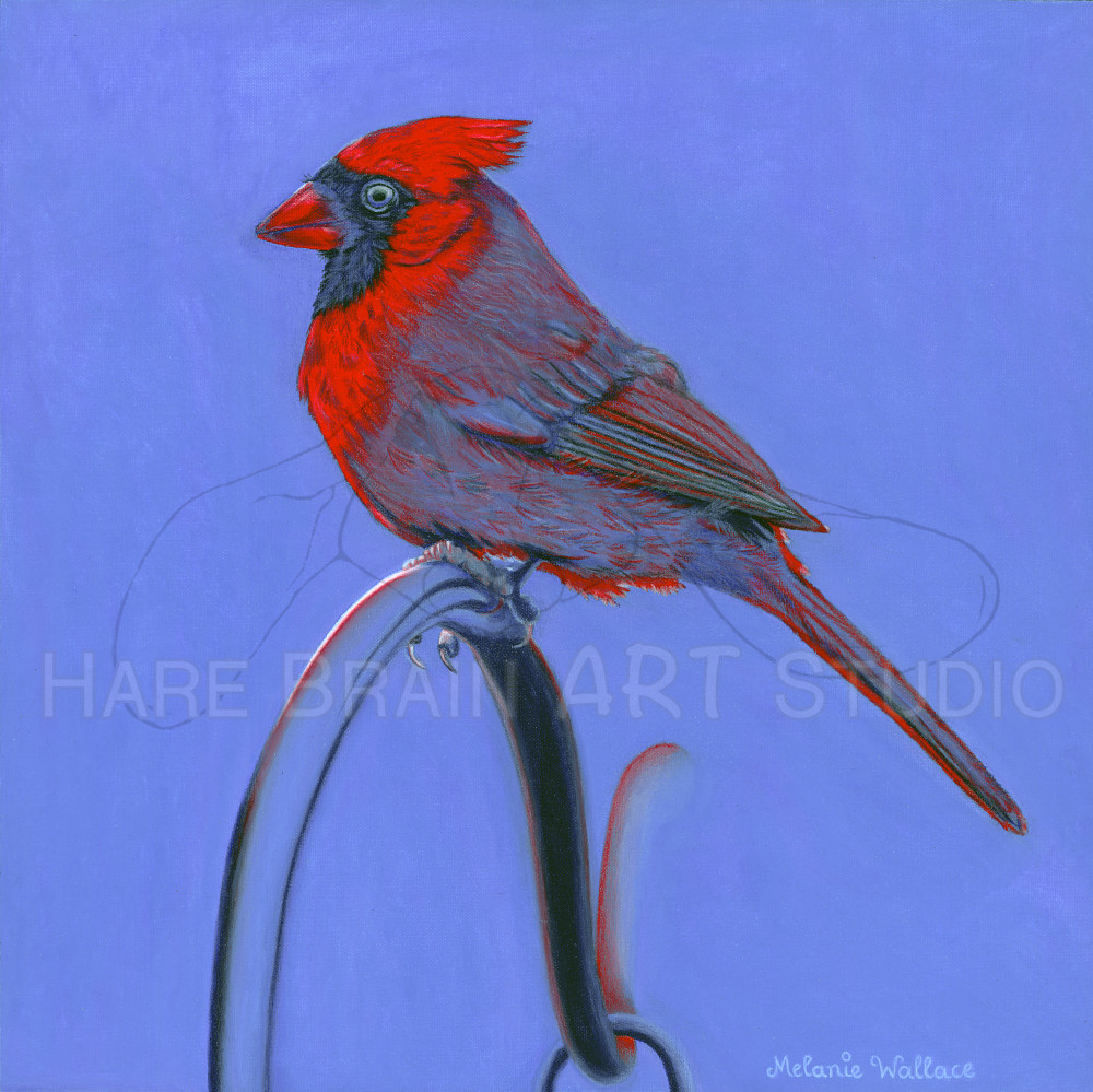 Cardinal Blues | Shop art by artist Melanie Wallace