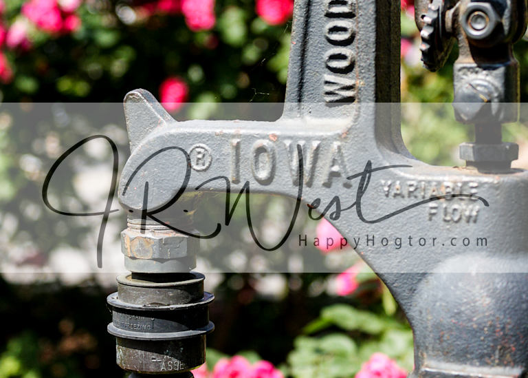 Growing Iowa Photography Art | Happy Hogtor Photography
