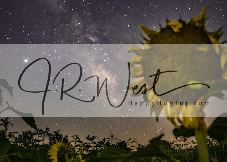 Sunflowers And Stars Photography Art | Happy Hogtor Photography
