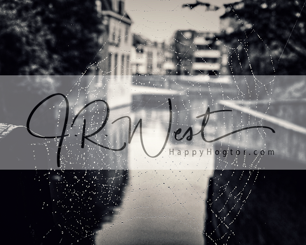 Spider Web In Amsterdam Photography Art | Happy Hogtor Photography