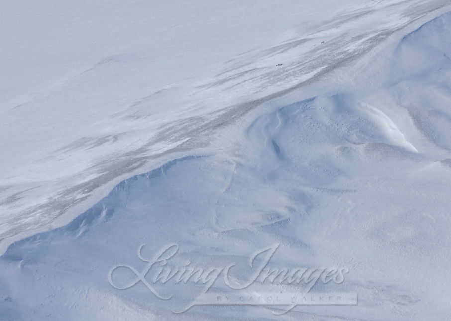 Deep Winter Photography Art | Living Images by Carol Walker, LLC