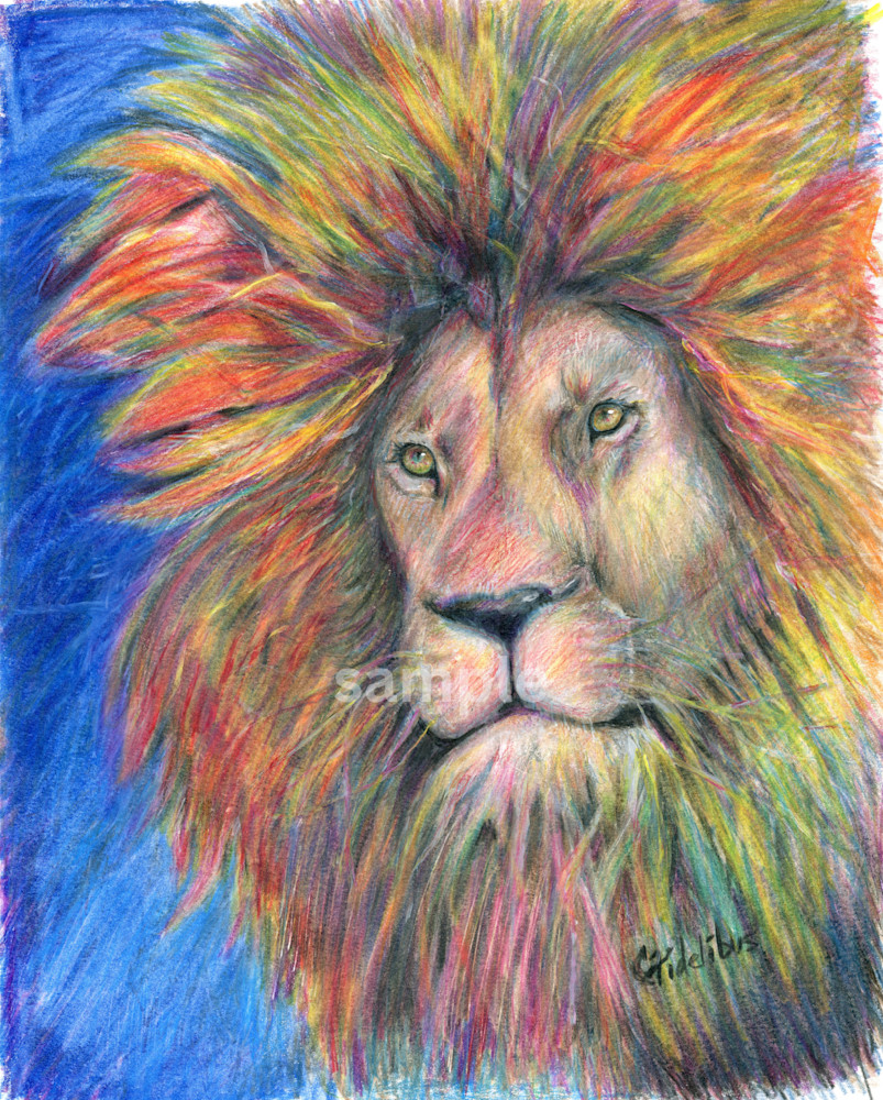 Lion   Colored Pencil (Print) Art | Cathy Ann's Art
