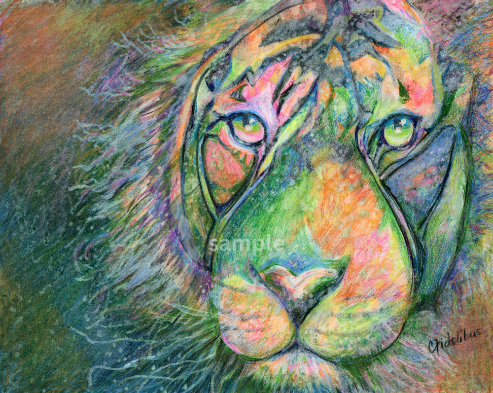 Colorful Tiger   Colored Pencil (Print) Art | Cathy Ann's Art