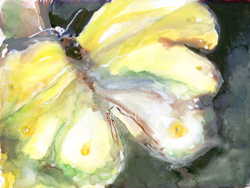 Butterfly   Watercolor (Print) Art | Cathy Ann's Art
