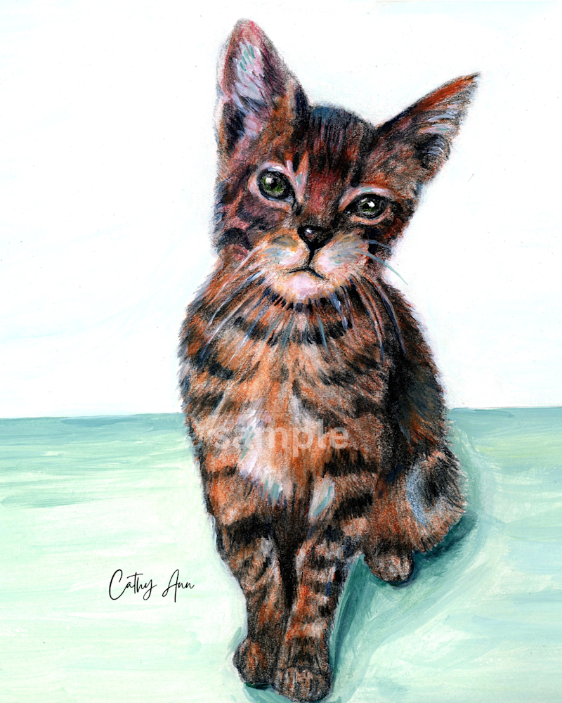Kitty   Colored Penciil (Print) Art | Cathy Ann's Art