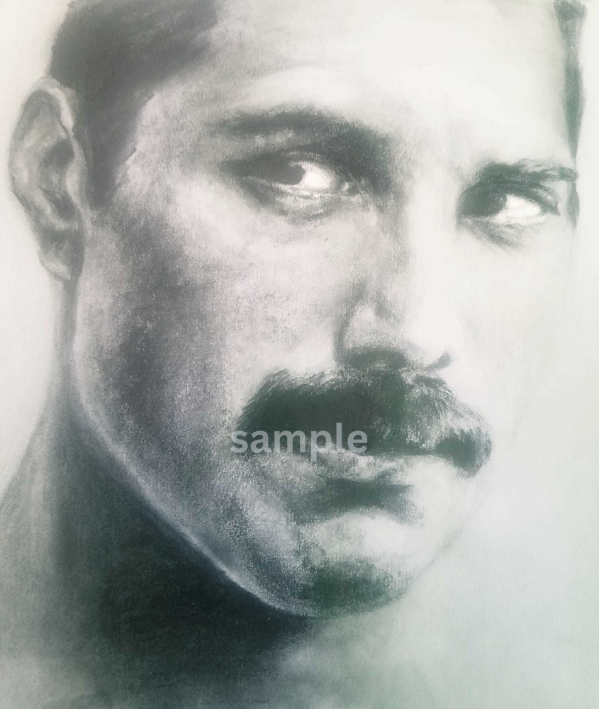 Freddy Mercury   Graphite (Print) Art | Cathy Ann's Art