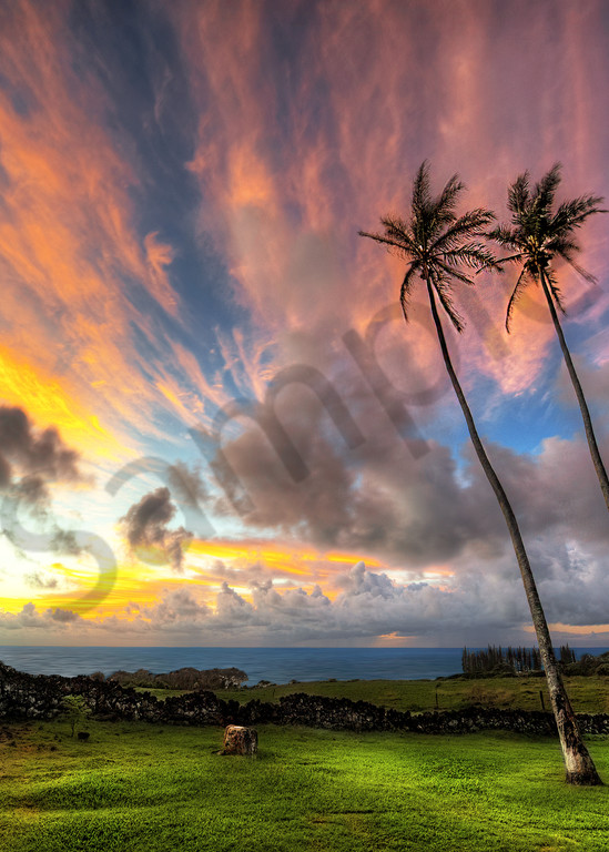Hawaii Fine Art Photography | Two Trees and a Stone by Randy J Braun