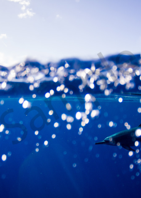 Surf Photography | Bubbly Blue by Doug Falter
