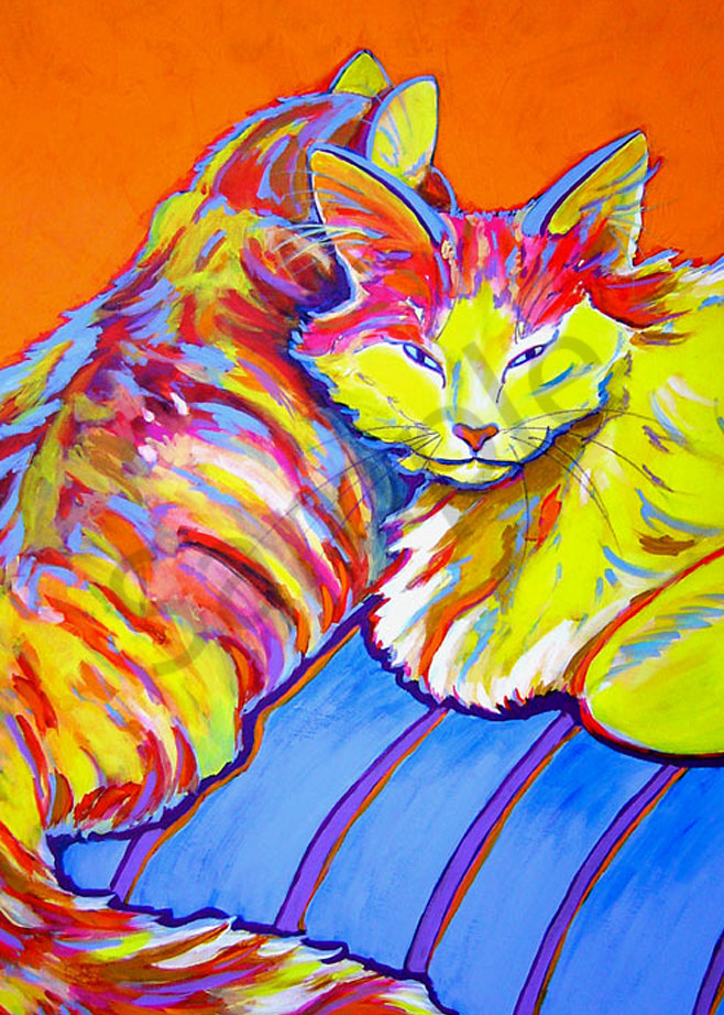 Cat Naps Art | Sally C. Evans Fine Art