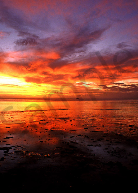 Enjoying the Sunset..Shot in Kingdom of Tonga