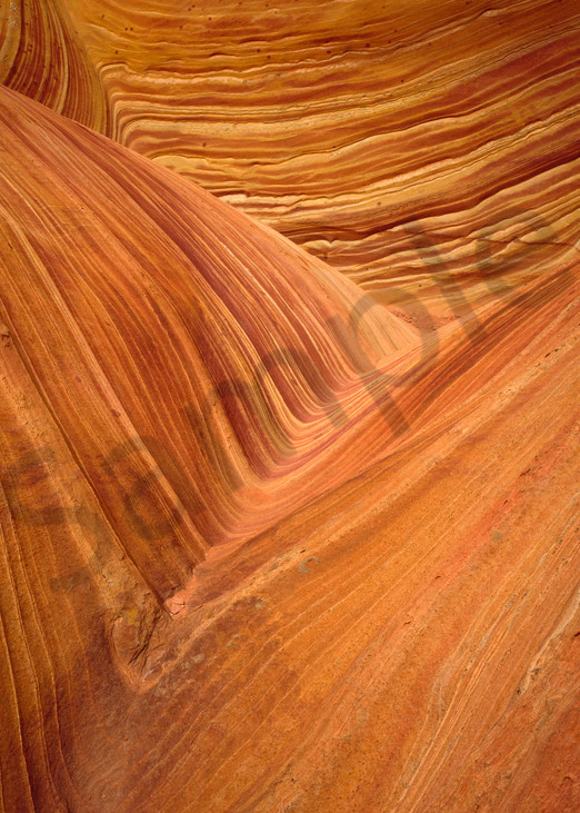 Sandstone, folded and eroded in the Paria Wilderness, northern Arizona