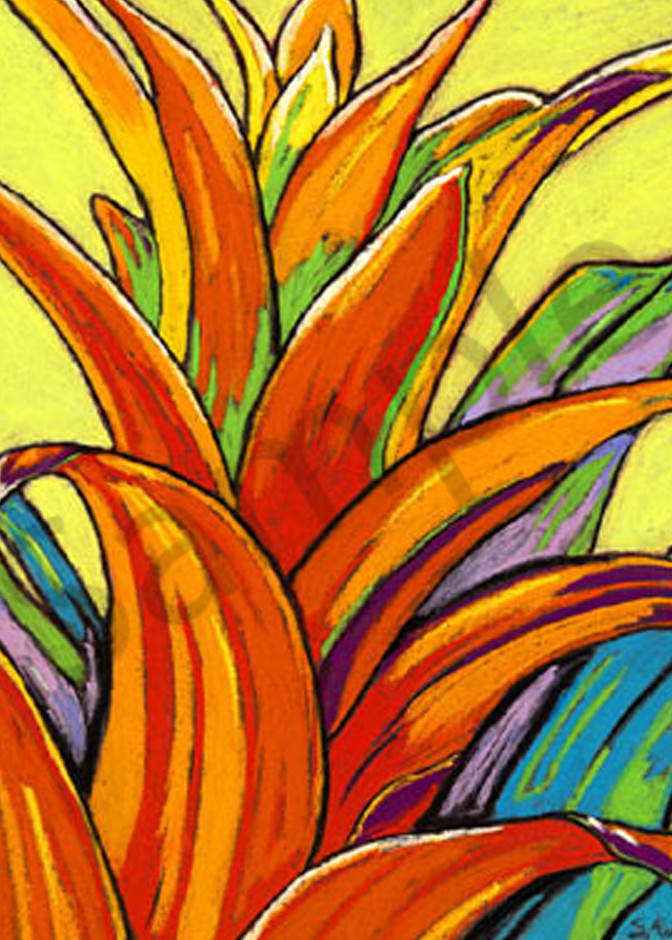 Orange Bromeliad Art | Sally C. Evans Fine Art