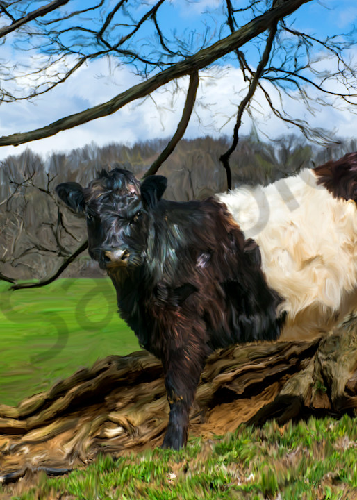 painting of Oreo cow