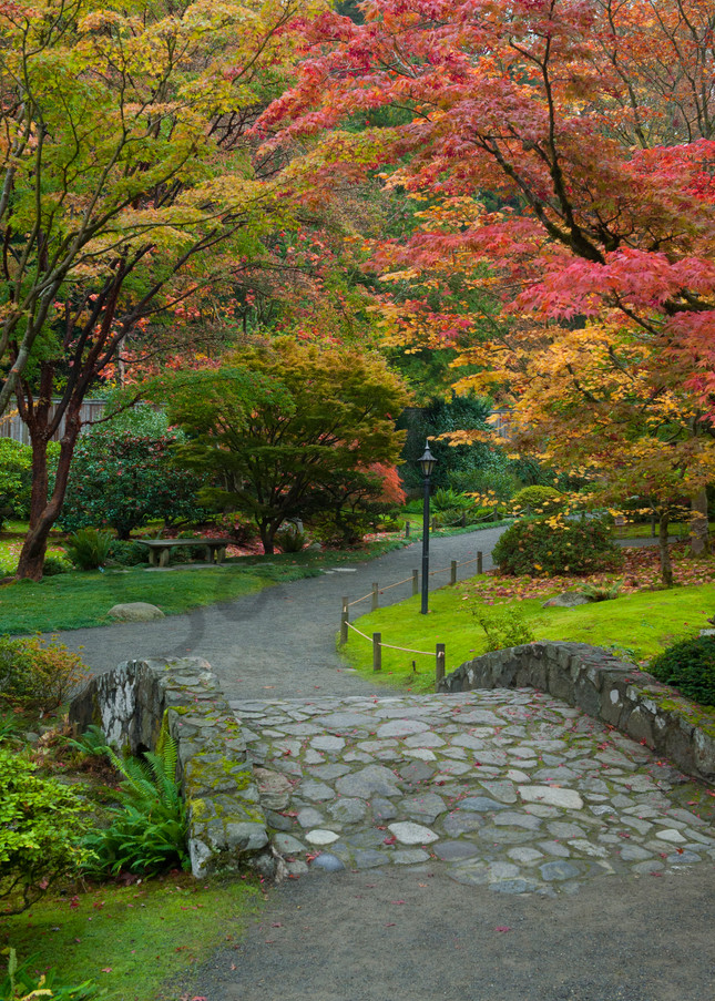  Fall colors in the Japanese Garden, Seattle 