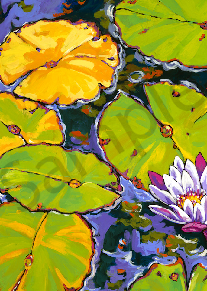 Lily Pads Dance In Light Art | Sally C. Evans Fine Art