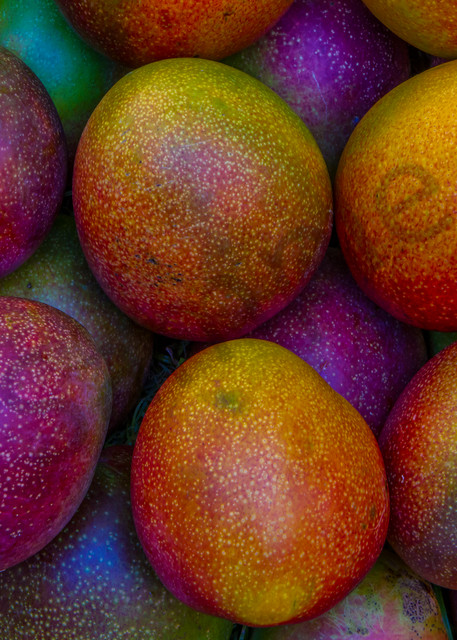 Hawaii Photography | Many Mangoes by William Weaver