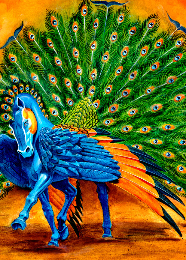 Peacock Pegasus