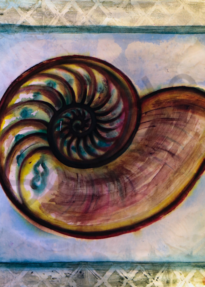 Nautilus Shell Print for Beach on Canvas, Paper and More 